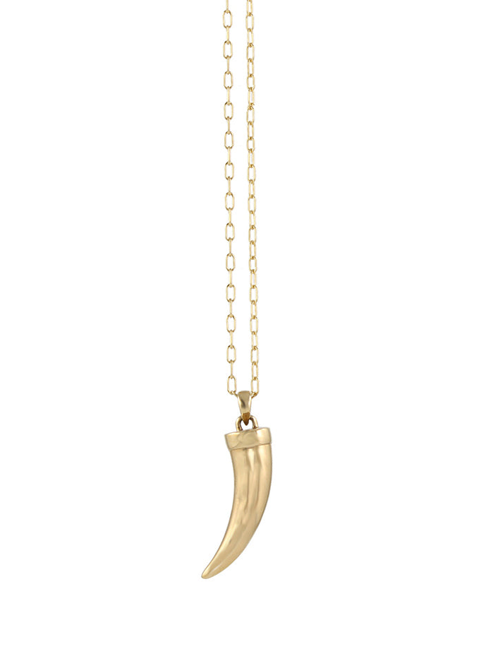 Bronze Horn Necklace