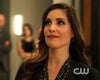 Susan Williams (Carly Pope) on Arrow in Peggy Li Creations earrings