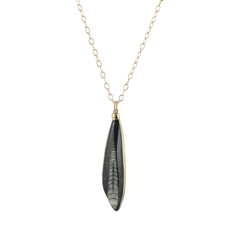 Fossil Point Pendant Necklace