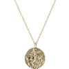 Ancient Lion Coin Necklace