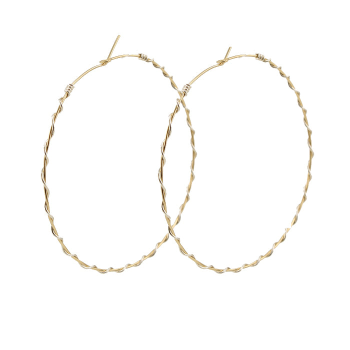 Metal Hoop Earrings Collection NEW Style | Dazzleluna