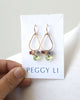 Rainbow pride earrings