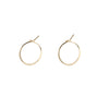 Small Hoop Earrings